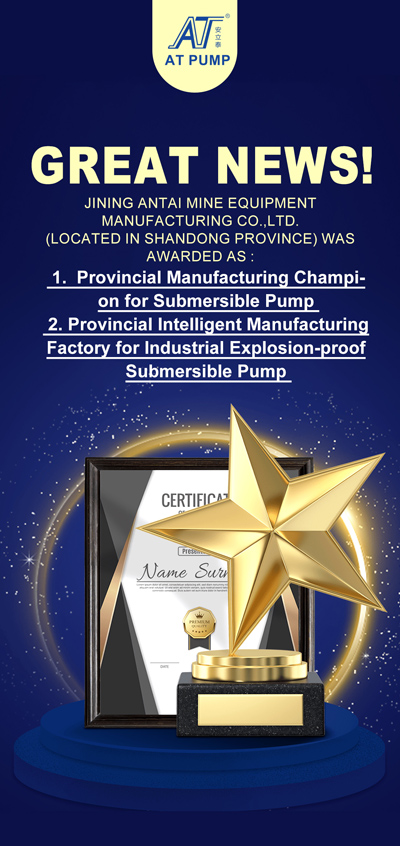Great news! AT Pump is awarded as: Provincial Manufacturing Champion for Submersible Pump