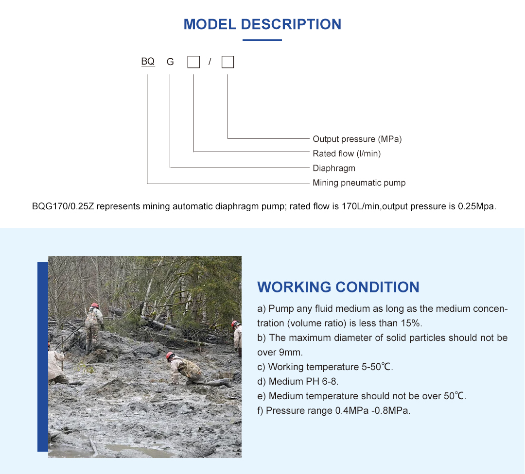 BQG Series Pneumatic Diaphragm Pump